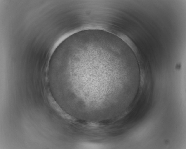 X0000110941052200907022129