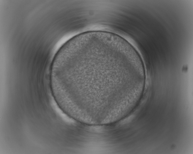 X0000110941053200907022129