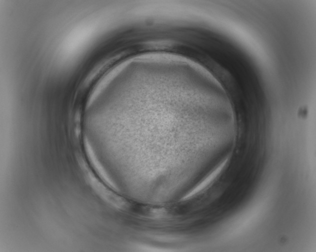 X0000110941054200907022129