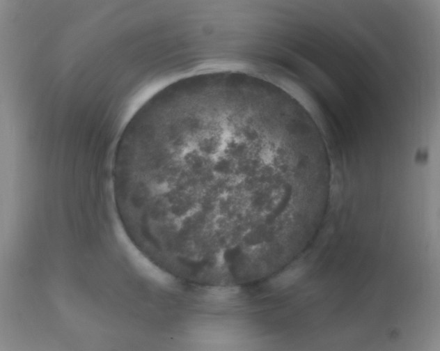 X0000110941055200907022129