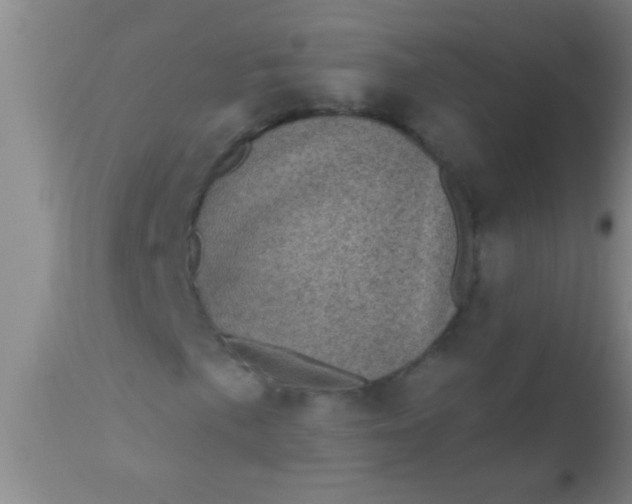 X0000110941057200907022128