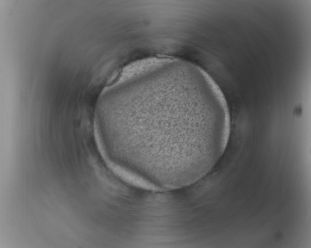 X0000110941058200907022128