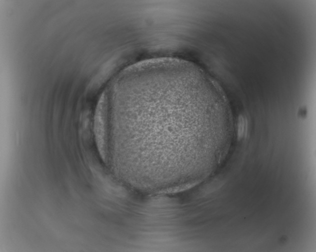 X0000110941059200907022128