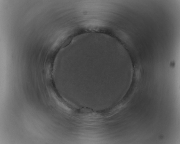 X0000110941060200907022128