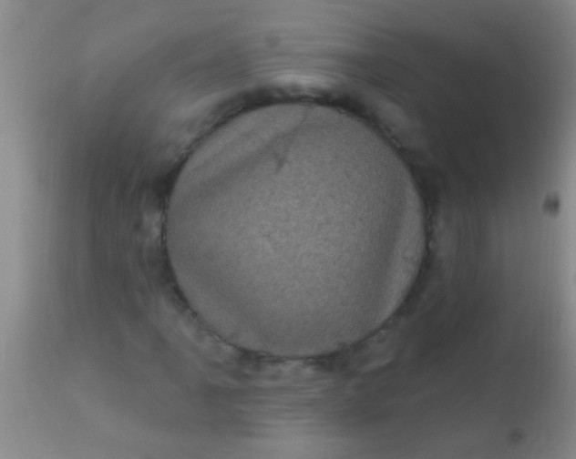 X0000110941061200907022128