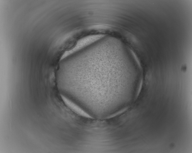 X0000110941062200907022128