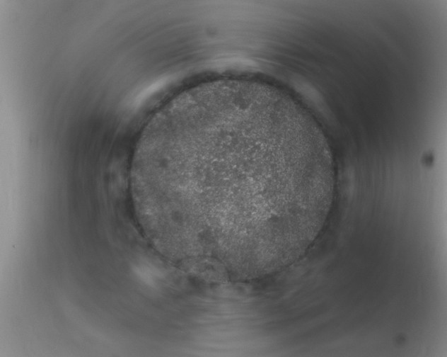 X0000110941063200907022128