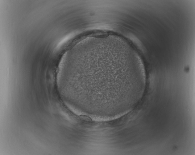 X0000110941064200907022128