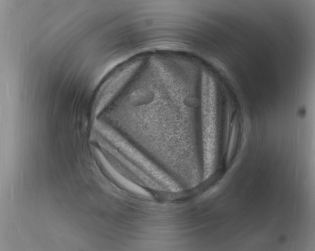 X0000110941065200907022128