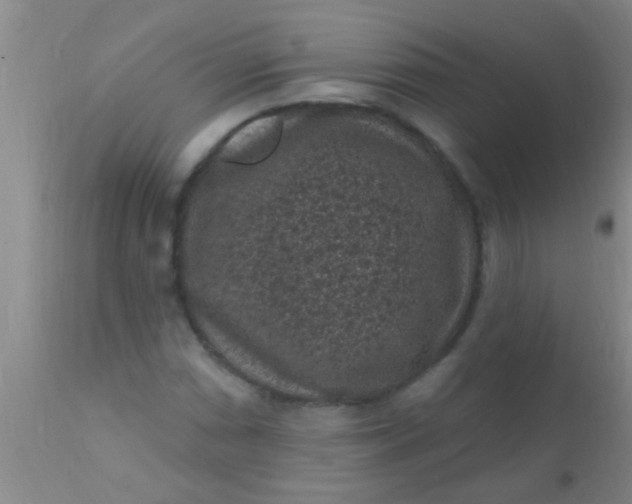 X0000110941066200907022128