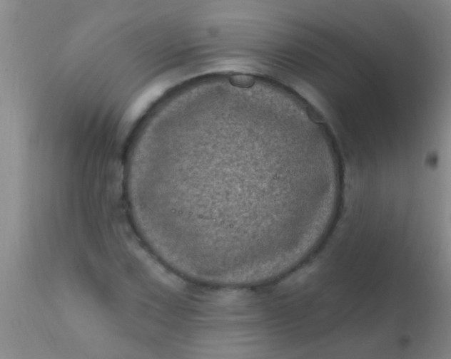 X0000110941067200907022128