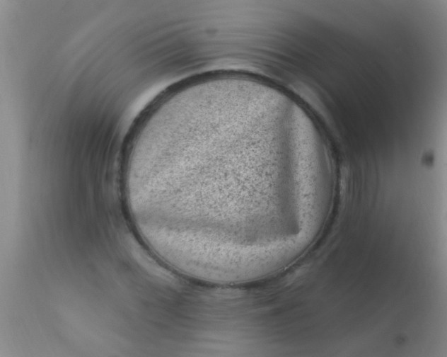 X0000110941068200907022128