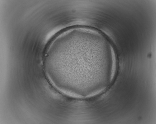 X0000110941070200907022128