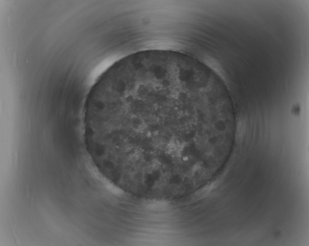 X0000110941071200907022128