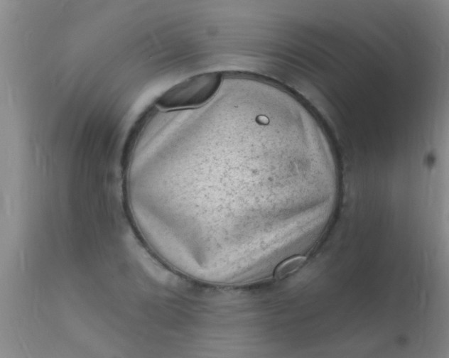 X0000110941072200907022128