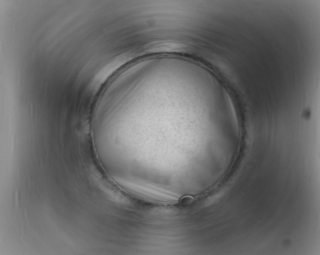 X0000110941073200907022128