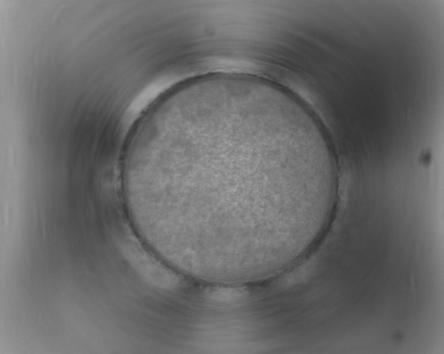 X0000110941074200907022128