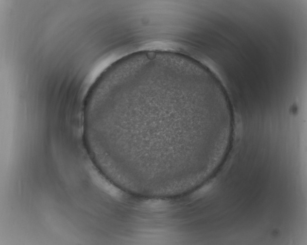 X0000110941075200907022128