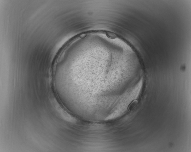 X0000110941076200907022128