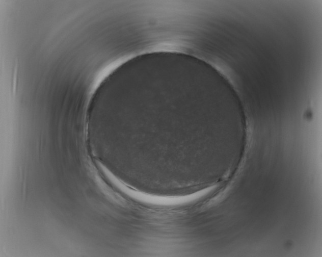 X0000110941077200907022128