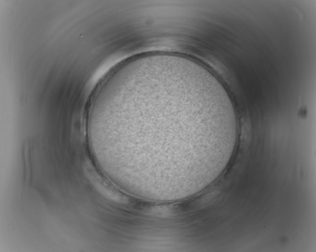 X0000110941078200907022128