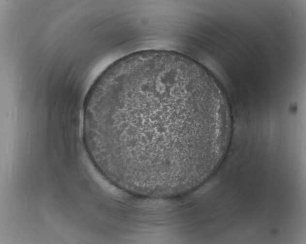 X0000110941079200907022128