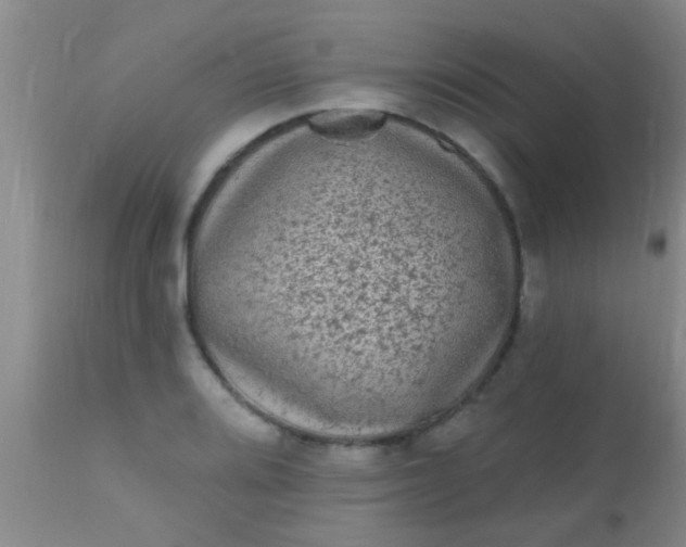 X0000110941080200907022128