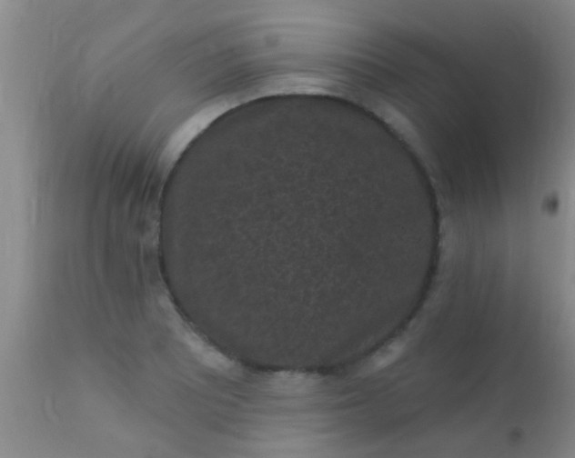 X0000110941081200907022128