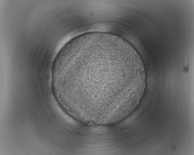 X0000110941083200907022128