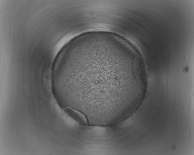 X0000110941085200907022128