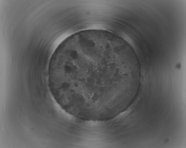 X0000110941087200907022128