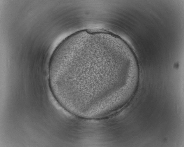 X0000110941088200907022128