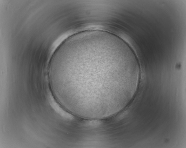 X0000110941090200907022128