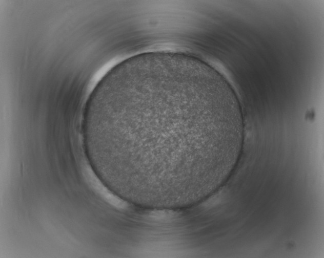 X0000110941091200907022128