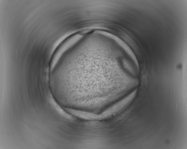 X0000110941092200907022128