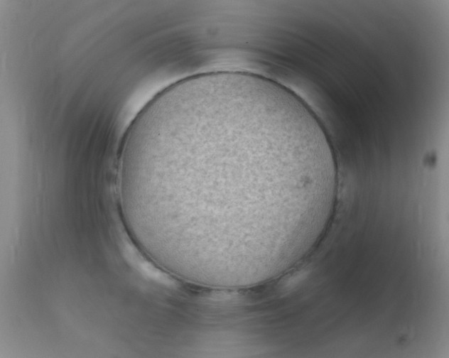 X0000110941094200907022128