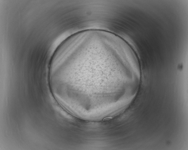 X0000110941096200907022128