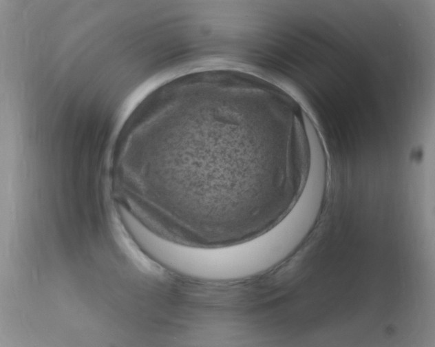 X0000110941098200907022128