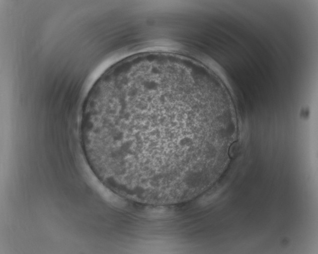 X0000110941099200907022128