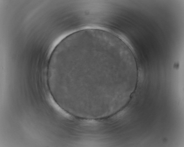 X0000110941100200907022128