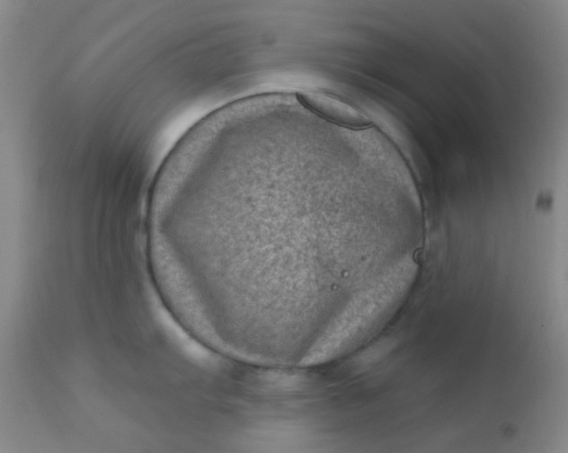 X0000110941103200907022127