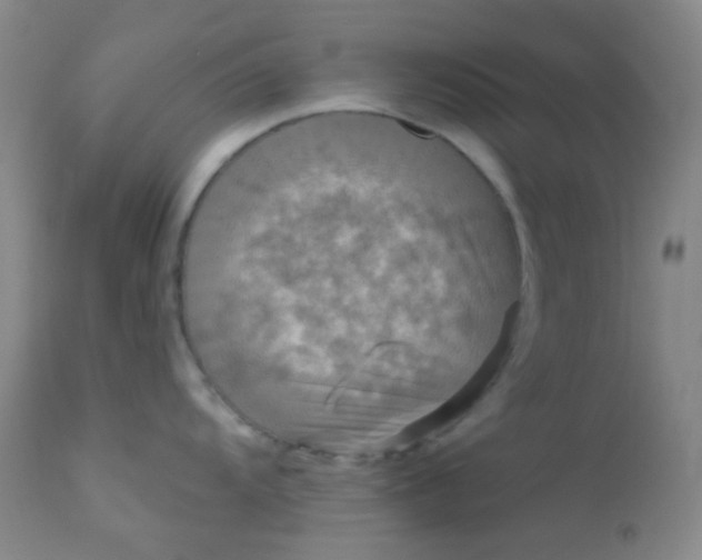 X0000110941104200907022127