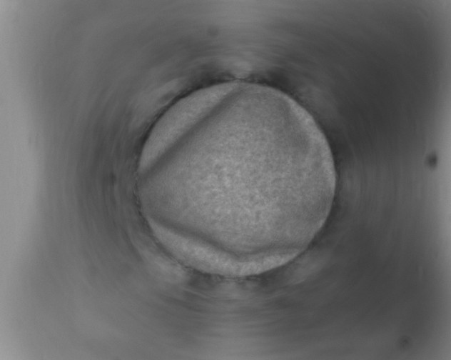 X0000110941105200907022127