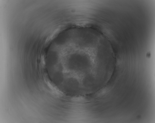 X0000110941106200907022127