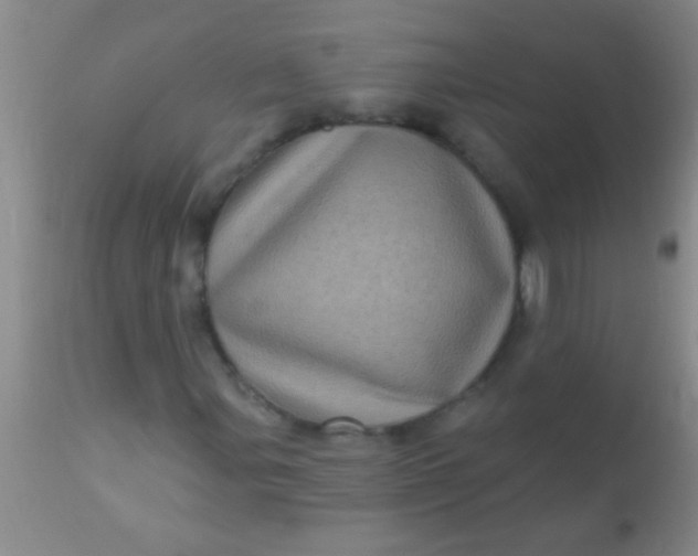 X0000110941107200907022127