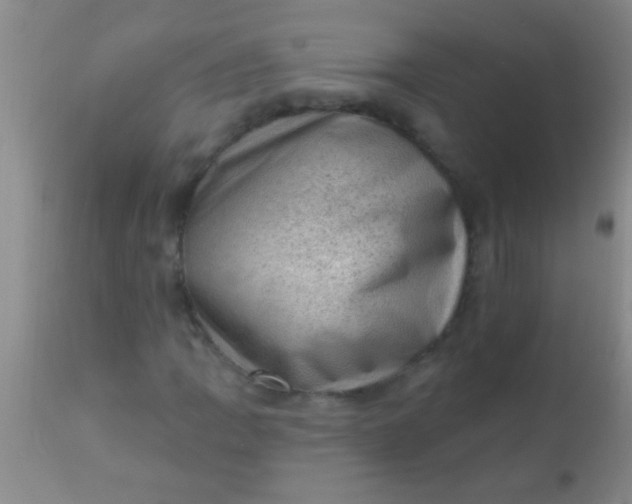 X0000110941109200907022127