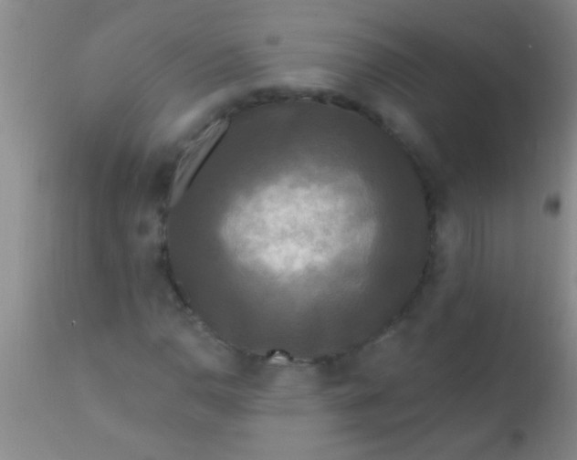 X0000110941110200907022127