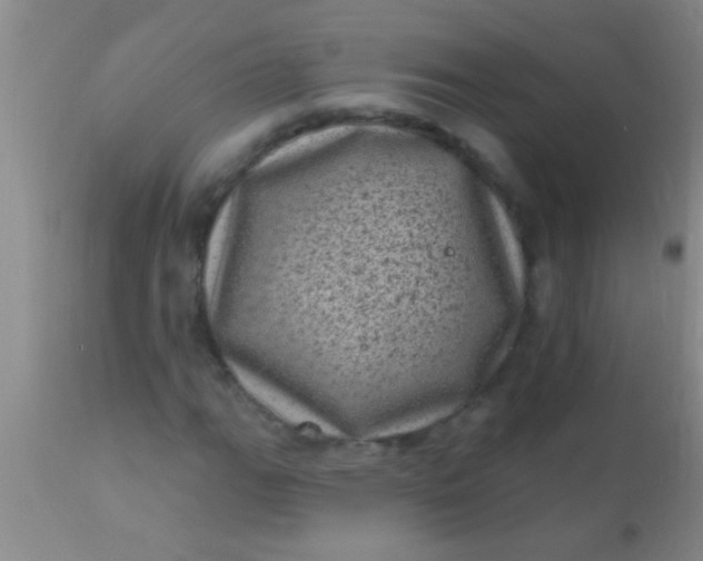 X0000110941111200907022127