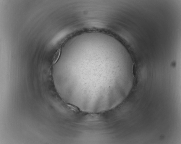 X0000110941112200907022127