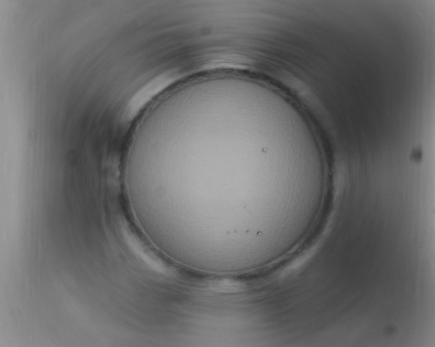 X0000110941113200907022127